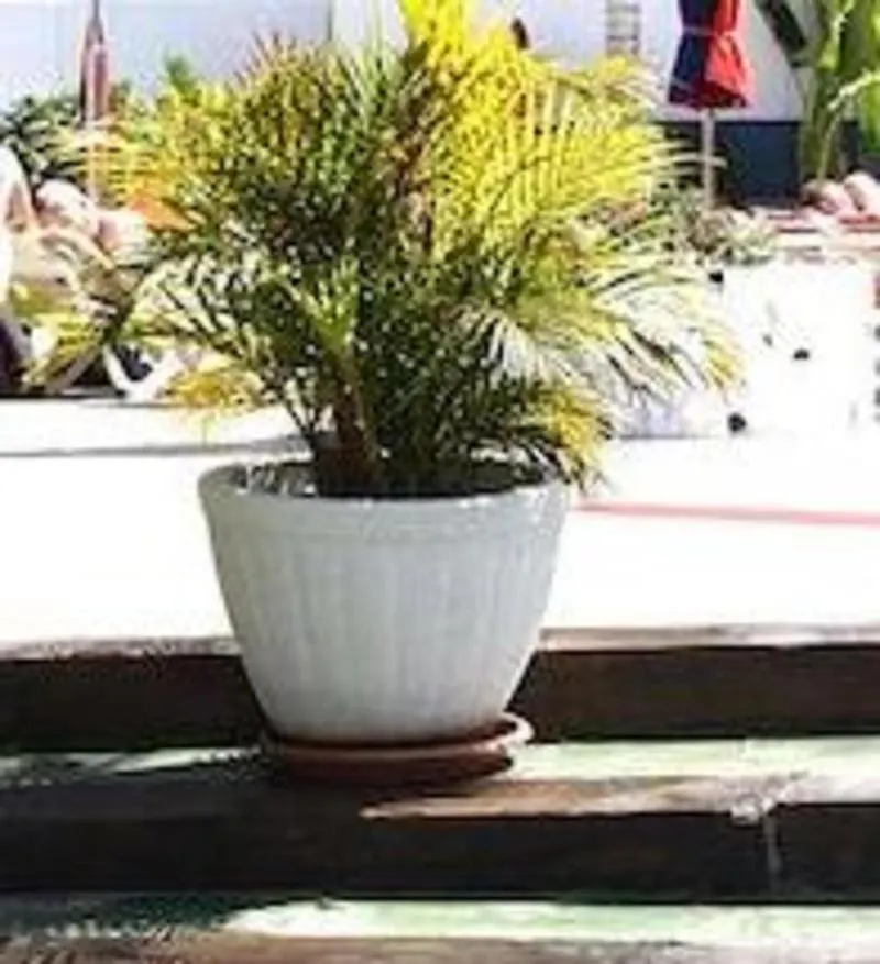 Gran Amadores Apartment